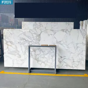 Dalle de marbre italien blanc naturel Arabescato de pierre de marbre blanche de neige pour le mur et le plancher