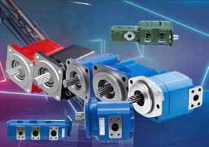 סאני עגור כוח להמריא רב-שלב ציוד משאבת עבור zhongian 50 טון מנוף הידראולי משאבות - Product Image 2