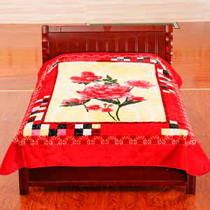 Manta de cama Raschel, súper suave, ecológica, para las cuatro estaciones, felpa pesada, cálida, estilo coreano, colcha estampada de varios tamaños - Product Image 1