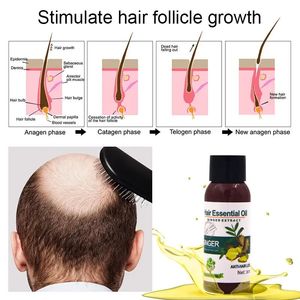 Aceite Capilar de Jengibre Mokeru 30ml, Promueve el Crecimiento del Cabello y Previene la Caída, Fórmula Concentrada de Materiales Naturales para Cabello <span class=keywords><strong>Grueso</strong></span>, para Mujeres y Hombres - Product Image 6