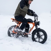 Robustes Vintage-Elektrofahrrad mit Doppelfederung und Rutschfesten Reifen für Winterschnee und Frostige Bedingungen