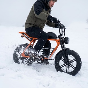 Vélo électrique vintage robuste avec double suspension et pneus antidérapants pour la conduite sur neige hivernale et conditions glacées - Product Image 2
