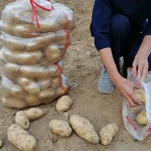 PP dokuma patates çantası kaplı dokuma polipropilen çanta şeffaf dokuma polipropilen tarım çantaları İpli