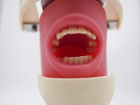 Unidad Dental con Cabeza de Simulación de Implantes, Sistema de Educación Dental Digital para Escuelas y Universidades Dentales
