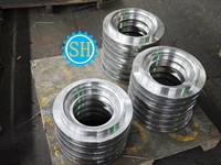 Service de Fabrication de Pièces Usinées CNC en Acier Inoxydable Forgé sur Mesure Sanhui