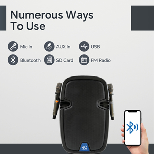 Rqsonic pmlt10abh pin Powered <span class=keywords><strong>PA</strong></span> hệ thống nhựa xe đẩy thiết kế xách tay loa chuyên nghiệp với hai <span class=keywords><strong>mic</strong></span> không dây - Product Image 5