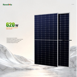 Module photovoltaïque bifacial de type N <span class=keywords><strong>René</strong></span> Enhanced Mechanical Load 620W avec panneaux en verre double - Product Image 1