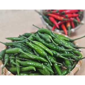 Venta al por mayor de Chile asiático fresco y congelado embalaje personalizado directo de fuente vietnamita procesamiento de crudo a bajo precio - Product Image 3