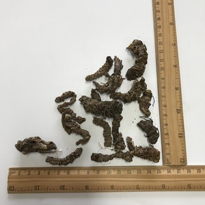 Radici di Valeriana Essiccate 100% Pure, Erbe Cinesi Grezze, Radix Valerianae Officinalis all'Ingrosso - Product Image 4