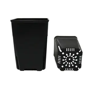 Grow Pots with Drainage Holes, Mini Black Plastic Square Pot, Small size Flower pot for Indoor Gardening