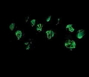 <span class=keywords><strong>Zodiac</strong></span> 12 Gemini porte-clés en verre porte-clés lunettes <span class=keywords><strong>Zodiac</strong></span> 12 Constellation Glow In The Dark Creative Galaxy porte-clés - Product Image 6