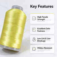 Fil à broder de haute qualité 100% polyester filament 120D/2 Tex27 40WT 4000YDS