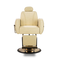 Chaise de Salon de Coiffure Hydraulique Dorée pour Coiffeur - Mobilier de Salon