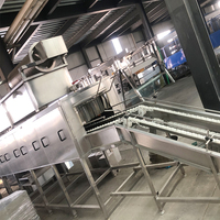 Laveuse automatique de cages à poulets en acier inoxydable, machine à laver les cages à volailles, moteur à roulement