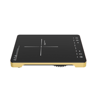 Plaque de cuisson électrique multifonction grande taille, durable, avec verrouillage de sécurité pour enfants, plaque chauffante à induction, cuisinière à induction
