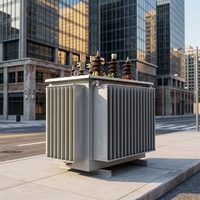 Transformateur de distribution de puissance triphasé immergé dans l'huile Taishun S11 80KVA 50/60Hz 6.3kV 10kV