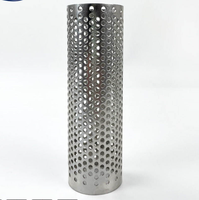 Filtre en fil de métal perforé en acier inoxydable à double couche