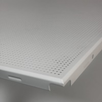 Faux plafond en aluminium suspendu en métal de panneau en aluminium perforé blanc de réduction du bruit