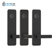 Système de serrure de porte d'hôtel intelligent RFID TTHotel, serrure électronique en alliage d'aluminium avec carte-clé pour porte en bois