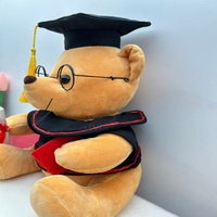 Ours en peluche de graduation de qualité supérieure, cadeau mignon pour garçons, filles et fêtes