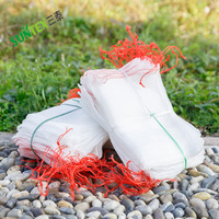 Sacs de date de protection de fruits blancs sacs en maille de stockage de filet d'exclusion sac anti-insectes 30*45cm