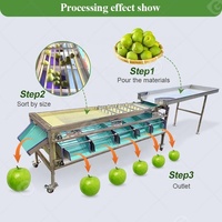 Industriële Pruimmaat Sortering Abrikozen Kokos Citrus Zure Kersenfruit Papaja Sorteermachine Voor Mangosteen