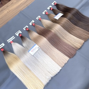Extensión de cabello a granel vietnamita Cabello liso natural La más alta calidad Colores de tendencia más calientes - Product Image 3
