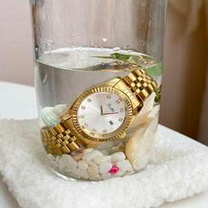 Montre à quartz ronde classique de luxe Scottie 9570 pour femmes, montre à quartz personnalisée, résistance à l'eau quotidienne, exclusivement pour femmes - Product Image 2