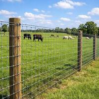 Panneau de clôture pour bétail galvanisé à chaud, panneau de clôture pour moutons et bovins pour ferme et grange