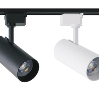 Lampu Sorot Led Cob 30W Kualitas Tinggi Toko Berkualitas Tinggi
