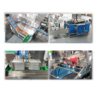 YH Automatische Zähl- und Kartoniermaschine für Beutel in Schachteln, 10 20 50 Stück Beutel/Schachteln/Sticks, Karton-Sortier- und Verpackungsmaschine