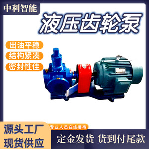 Bomba de Engranajes Hidráulicos Jining Zhongli YCB1.6-0.6, Bomba Horizontal para Transferencia de Fluidos Industriales y Mineros - Product Image 5