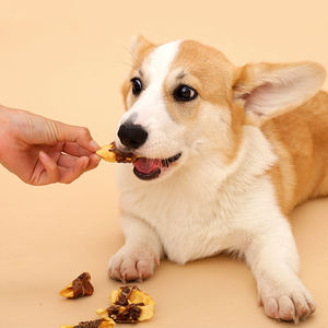 도매 건강한 영양 개 사료 고원유 단백질 개 치료 애완 동물 간식 바나나 칩 오리 개 간식으로 꼬여 - Product Image 4