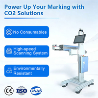 Machine de marquage laser CO2 30W/40W/60W Bouteilles en PET Marquage de code QR à haute vitesse Marquage de date Lignes de remplissage intégrées 220V Automatique
