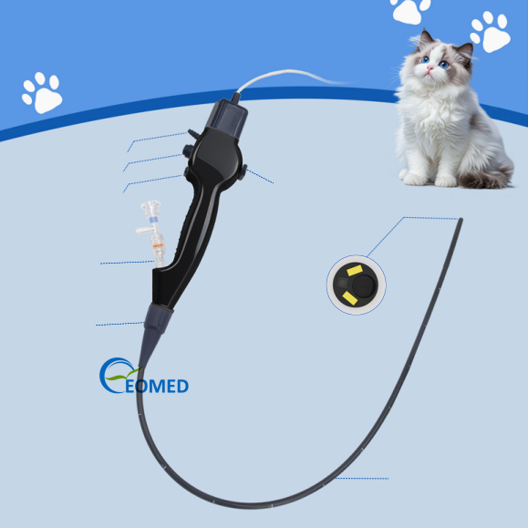 Disposable Veterinary Vet Flexible USB Endoscope - High-Quality for Dog/Cat Gastrointestinal Diagnosis