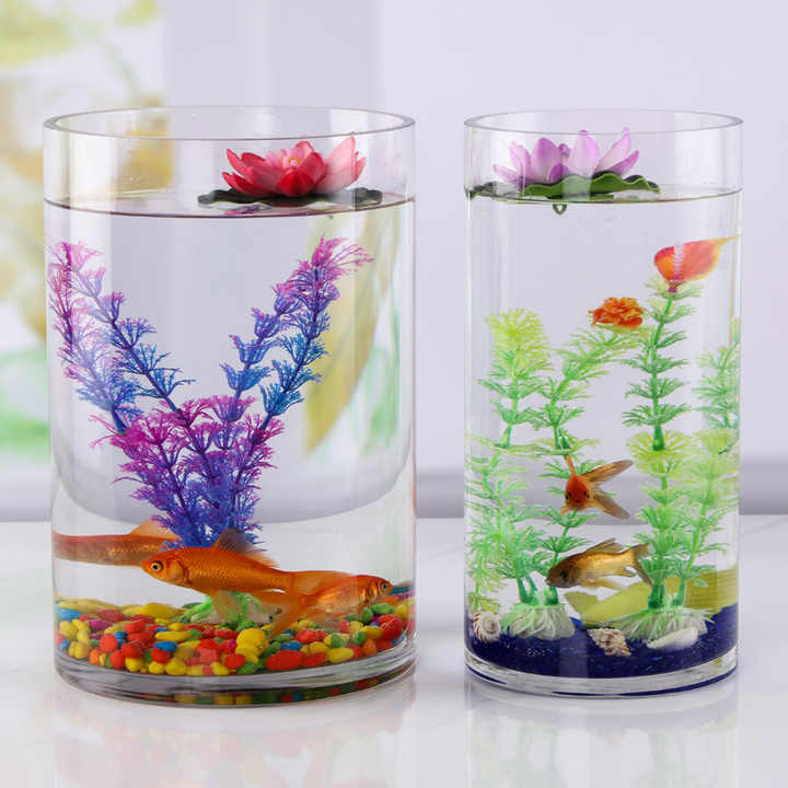Ultra-White Acrylic Goldfish Tank Small Cylinder Transparent Glass ... - Acrylic Goldfish Tank Accessories