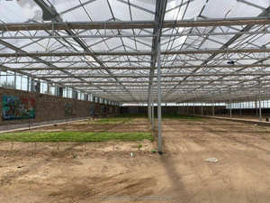 Agricoltura serra telaio comprare foglio di policarbonato serra per semi ortaggi ibrido pomodoro - Product Image 6