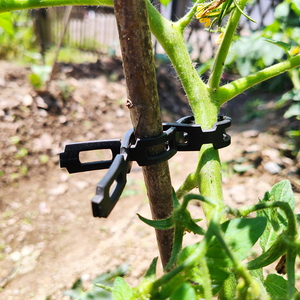 Legame di gomma 100 piedi colore <span class=keywords><strong>nero</strong></span> regolabile cravatta per <span class=keywords><strong>albero</strong></span> giovane in giardino - Product Image 4