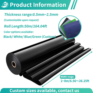 Produttore professionale di Geomembrane HDPE per progetti di ingegneria globale - Product Image 3