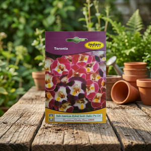 Indam Torenia <b>Seeds</b> 15 <b>Seeds</b> Multi-Colored From India - Product Image 2