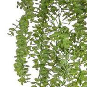 Planta Artificial Colgante de Eucalipto de Plástico, 5 Ramas, 90cm, Verde Decorativa (9359108395800) - Product Image 4