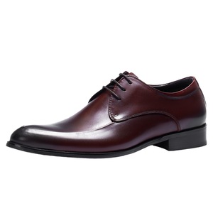 Chaussures Homme Rétro en Cuir Véritable DSYX, Respirantes et Légères, en Cuir de Vachette Sculpté, Style Commercial, Collection Automne - Product Image 1