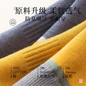 Men's Pure Cotton Crew Socks Color Blocking Breathable Moisture Wicking Spring Autumn Casual Street Style Harajuku Youth Socks - Product Image 4