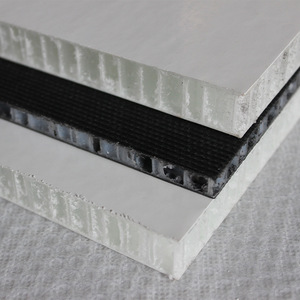 Panel Compuesto de Nido de Abeja de Plástico PP Ligero y de Alta Resistencia, Panel de Nido de Abeja Termoplástico de Fibra de Vidrio, Venta al Por Mayor de Fábrica - Product Image 1