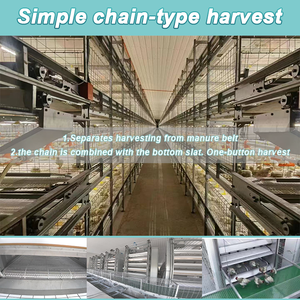 Thép mới h-loại Gà Thịt Gà pin lồng tự động động vật lồng cho gia cầm trang trại gà Coop cho gà thịt gà - Product Image 3