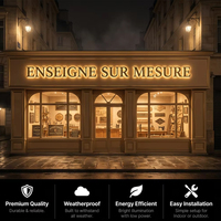 Lettres lumineuses publicitaires, enseigne commerciale, panneau de signalisation, enseigne personnalisée avec logo, enseigne en lettres LED, lettres en relief LED, enseigne 3D LED