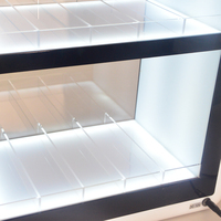 Usine DSP Vietnam écologique personnalisable pour le luxe Led Cigarette Store Smoke Shop acrylique pour briquet présentoir de comptoir