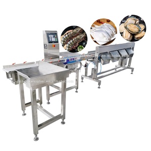 Machine de tri et de calibrage automatique à convoyeur pour poissons, huîtres, poulets et fruits, en acier inoxydable 304 étanche, pour ligne de transformation de poisson - Product Image 1