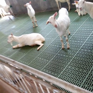 Alfombras para Pisos en <span class=keywords><strong>Venta</strong></span> a Precio de Fábrica, Piso de Plástico Ranurado para Cría de Cabras y <span class=keywords><strong>Ovejas</strong></span>, Piso de Plástico Ranurado para Cría de Cerdos - Product Image 3