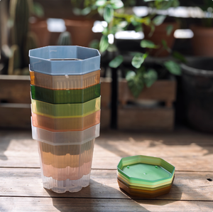 Gran oferta, <span class=keywords><strong>maceta</strong></span> suculenta Octagonal <span class=keywords><strong>de</strong></span> 6 pulgadas, lavabo <span class=keywords><strong>de</strong></span> luz antiniebla <span class=keywords><strong>DE</strong></span> ESTILO duradero, macetas <span class=keywords><strong>de</strong></span> <span class=keywords><strong>plástico</strong></span> transparente coloridas con bandeja <span class=keywords><strong>de</strong></span> columnas <span class=keywords><strong>de</strong></span> aire - Product Image 4